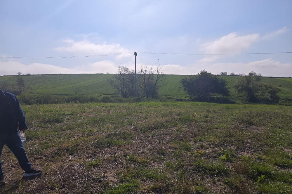 Edirne Uzunköprü İmarlı Arsa