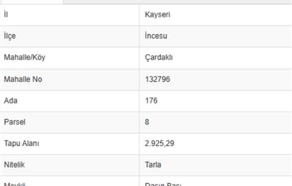KAYSERİ İNCESU'DA 2.925 m² SATILIK TARLA