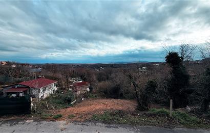 Beykoz Örnekköyde Satılık Arsa Meyve Ağaçlı Hobi Bahçesi