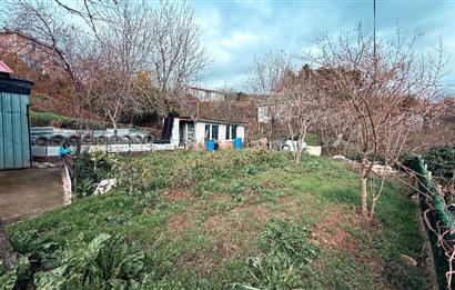 Beykoz Örnekköyde Satılık Arsa Meyve Ağaçlı Hobi Bahçesi