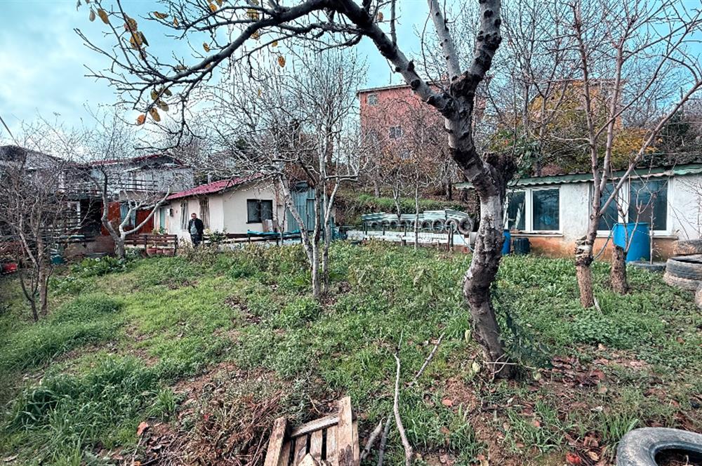 Beykoz Örnekköyde Satılık Arsa Meyve Ağaçlı Hobi Bahçesi