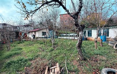 Beykoz Örnekköyde Satılık Arsa Meyve Ağaçlı Hobi Bahçesi