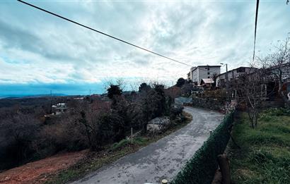 Beykoz Örnekköyde Satılık Arsa Meyve Ağaçlı Hobi Bahçesi