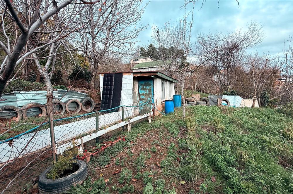 Beykoz Örnekköyde Satılık Arsa Meyve Ağaçlı Hobi Bahçesi