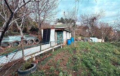 Beykoz Örnekköyde Satılık Arsa Meyve Ağaçlı Hobi Bahçesi
