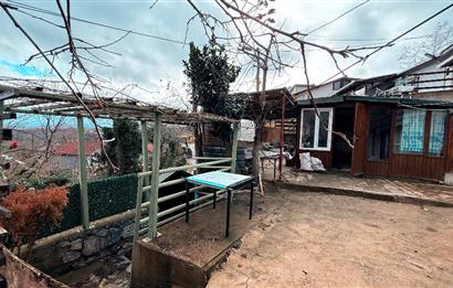 Beykoz Örnekköyde Satılık Arsa Meyve Ağaçlı Hobi Bahçesi