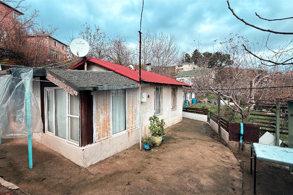 Beykoz Örnekköyde Satılık Arsa Meyve Ağaçlı Hobi Bahçesi