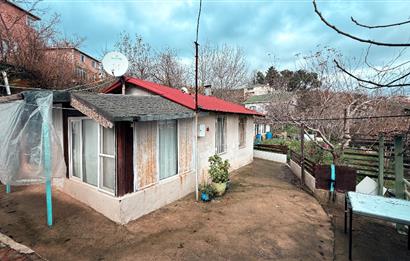 Beykoz Örnekköyde Satılık Arsa Meyve Ağaçlı Hobi Bahçesi