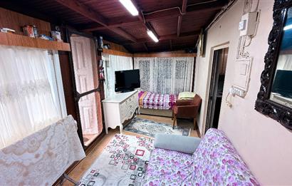 Beykoz Örnekköyde Satılık Arsa Meyve Ağaçlı Hobi Bahçesi