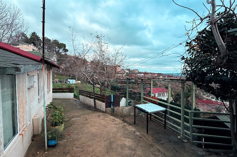 Beykoz Örnekköyde Satılık Arsa Meyve Ağaçlı Hobi Bahçesi