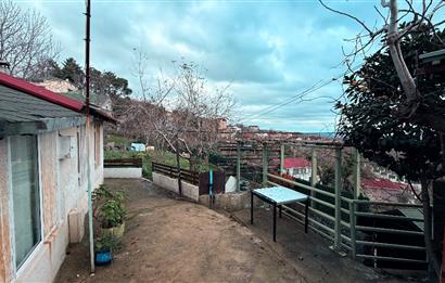 Beykoz Örnekköyde Satılık Arsa Meyve Ağaçlı Hobi Bahçesi