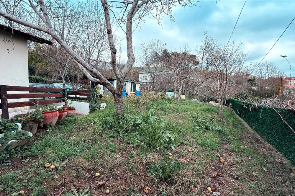 Beykoz Örnekköyde Satılık Arsa Meyve Ağaçlı Hobi Bahçesi