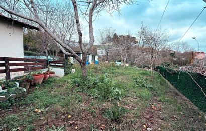 Beykoz Örnekköyde Satılık Arsa Meyve Ağaçlı Hobi Bahçesi