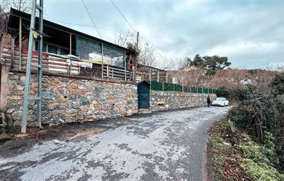 Beykoz Örnekköyde Satılık Arsa Meyve Ağaçlı Hobi Bahçesi