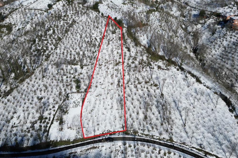 CENTURY 21'DEN PERŞEMBE MEDRESEÖNÜ'nde 1228 m2 YATIRIMLIK BAHÇE