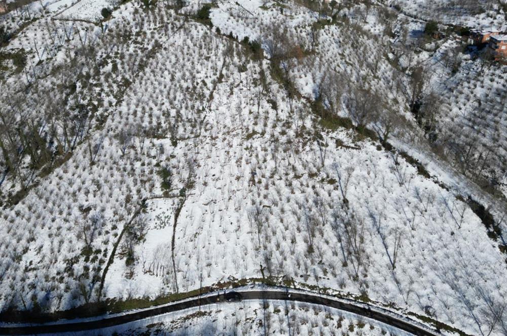 CENTURY 21'DEN PERŞEMBE MEDRESEÖNÜ'nde 1228 m2 YATIRIMLIK BAHÇE