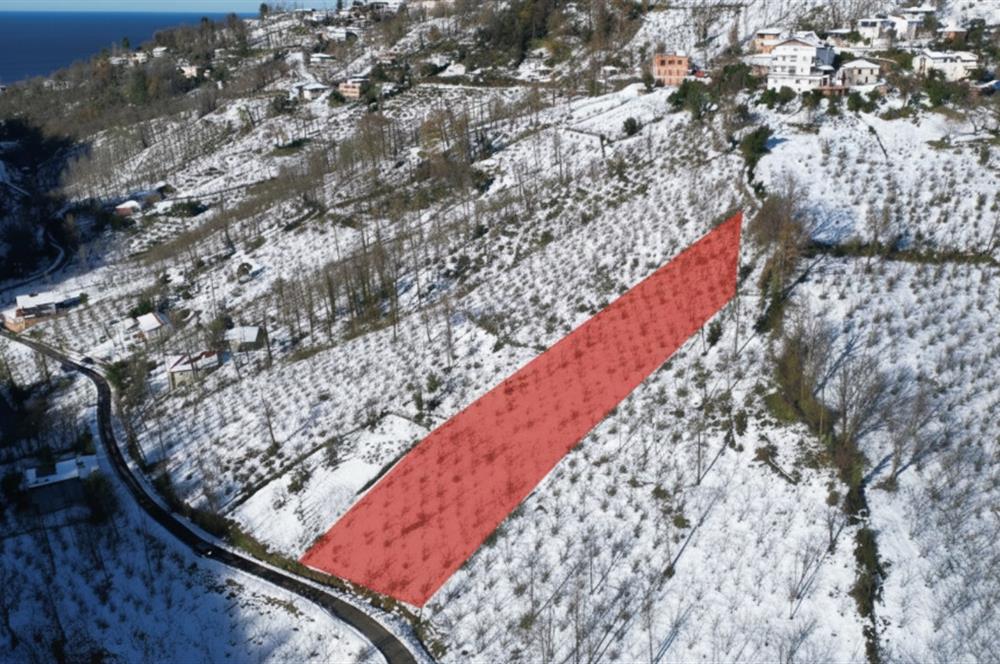 CENTURY 21'DEN PERŞEMBE MEDRESEÖNÜ'nde 1228 m2 YATIRIMLIK BAHÇE