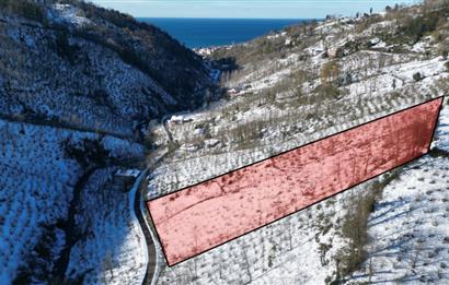 CENTURY 21'DEN PERŞEMBE MEDRESEÖNÜ'nde 1228 m2 YATIRIMLIK BAHÇE