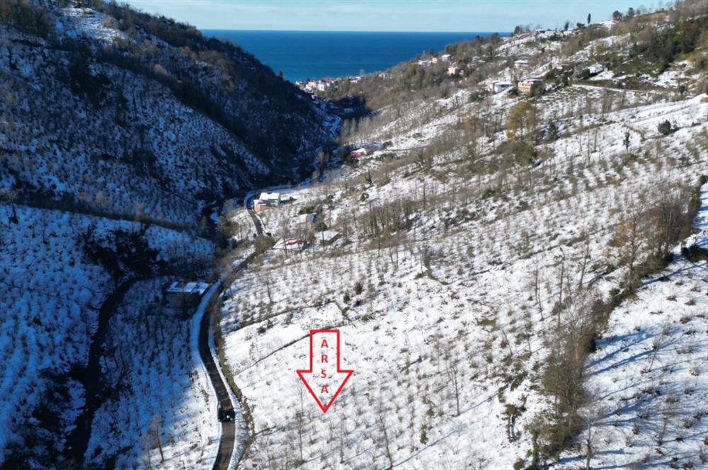 CENTURY 21'DEN PERŞEMBE MEDRESEÖNÜ'nde 1228 m2 YATIRIMLIK BAHÇE