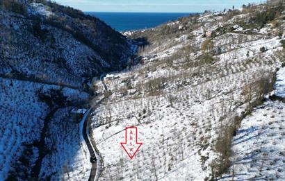 CENTURY 21'DEN PERŞEMBE MEDRESEÖNÜ'nde 1228 m2 YATIRIMLIK BAHÇE