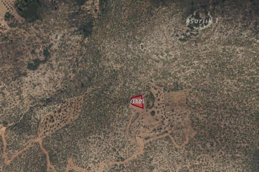 Bodrum Mazı Denize yakın satılık tarla