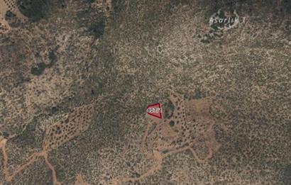 Bodrum Mazı Denize yakın satılık tarla