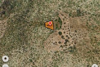 Bodrum Mazı Denize yakın satılık tarla - 8 - 31821