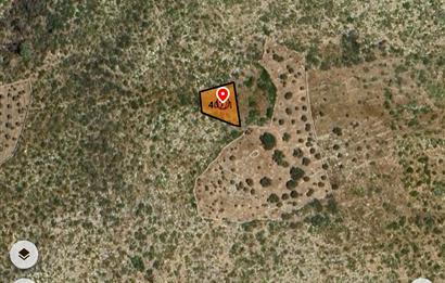 Bodrum Mazı Denize yakın satılık tarla