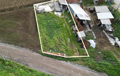 KEPSUT CAMİATİK MAH. SATILIK İŞLETME VE TARLASI  