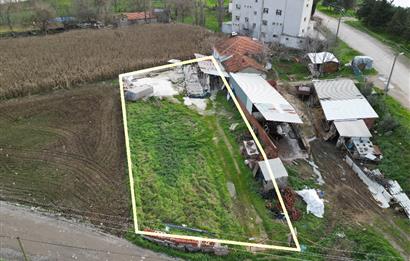 KEPSUT CAMİATİK MAH. SATILIK İŞLETME VE TARLASI  