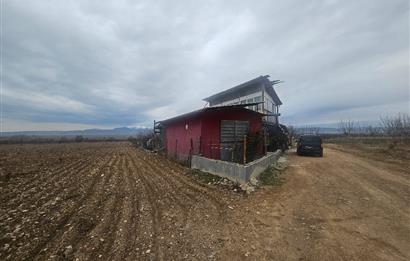 C21 LOFT'tan Pasif Gelir Sağlayan Ceviz Bahçesi Baklan/Gürlük'te