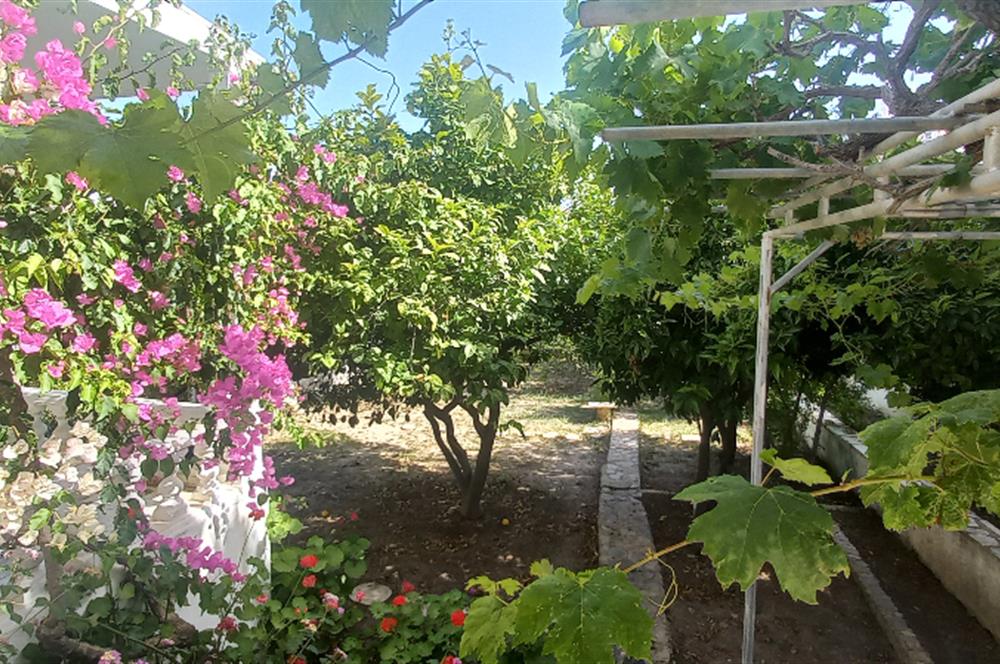 Ortakent Yahşi 50.yıl sitesi yaz donemi kiralık dubleks