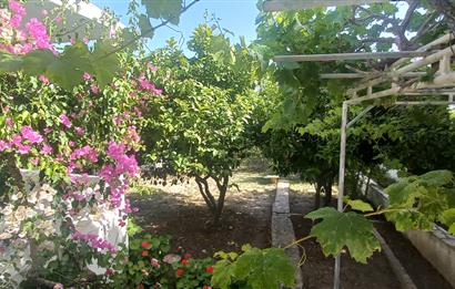 Ortakent Yahşi 50.yıl sitesi yaz donemi kiralık dubleks