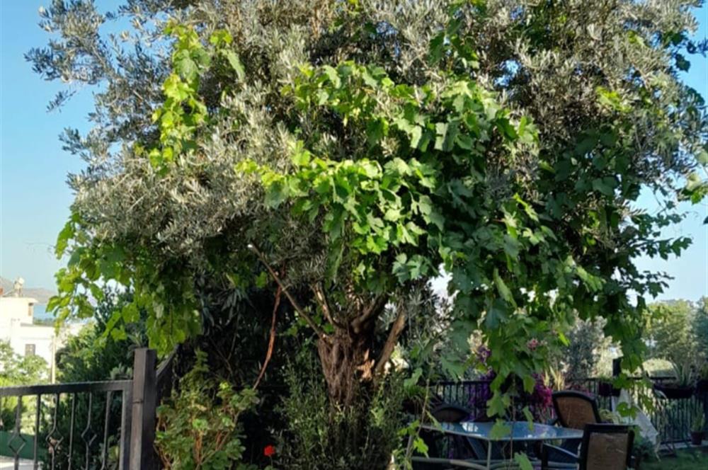 Bodrum Yalıkavak Site İçi Deniz Manzaralı Yazlık Kiralık Dubleks