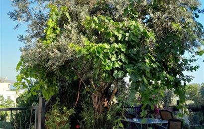 Bodrum Yalıkavak Site İçi Deniz Manzaralı Yazlık Kiralık Dubleks