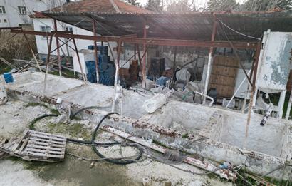 KEPSUT CAMİATİK MAH. SATILIK İŞLETME VE TARLASI  