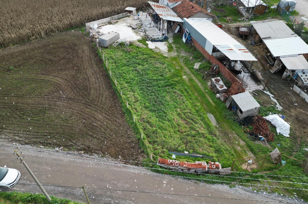 KEPSUT CAMİATİK MAH. SATILIK İŞLETME VE TARLASI  