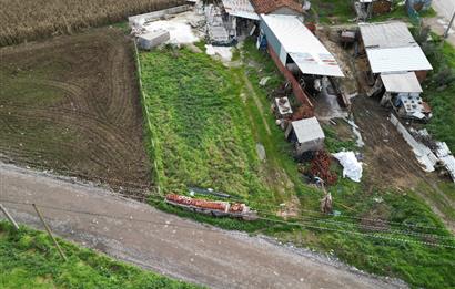 KEPSUT CAMİATİK MAH. SATILIK İŞLETME VE TARLASI  
