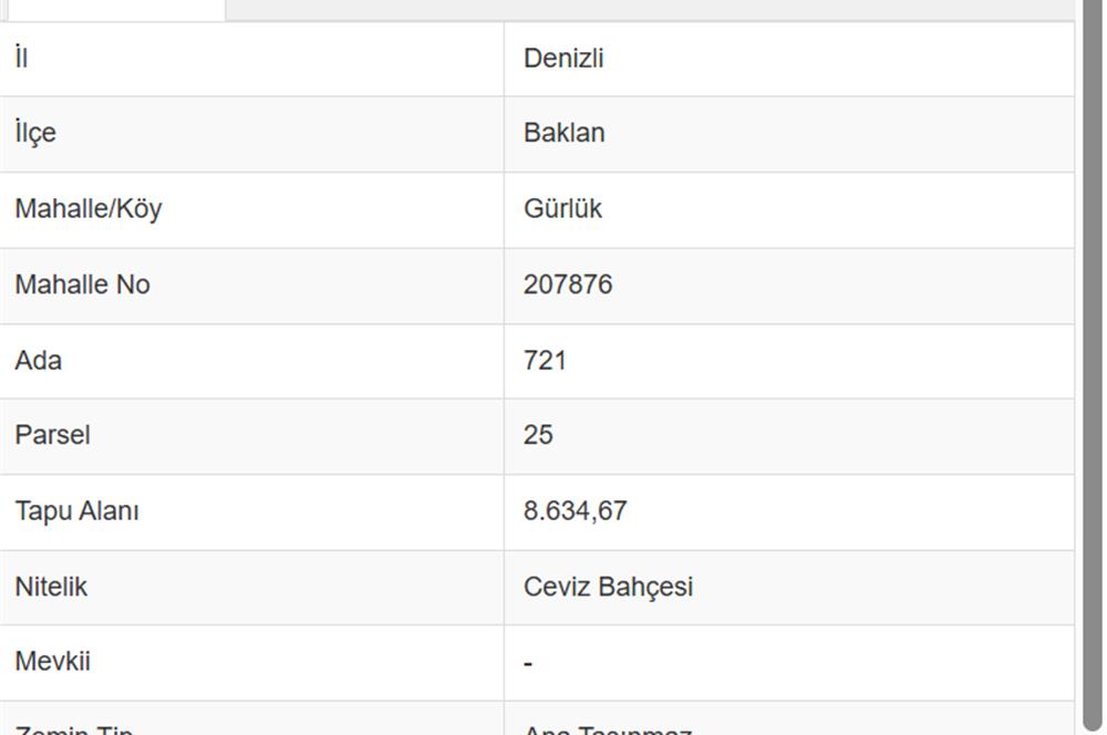 C21 LOFT'tan Pasif Gelir Sağlayan Ceviz Bahçesi Baklan/Gürlük'te