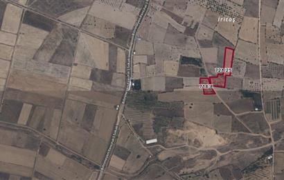 C21 LOFT'tan Pasif Gelir Sağlayan Ceviz Bahçesi Baklan/Gürlük'te