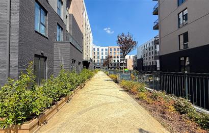 C21 Bal 'dan Emlak Konutta Kiralık 1+1 Daire