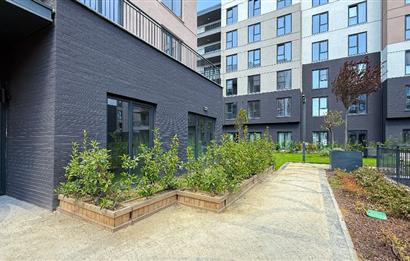 C21 Bal 'dan Emlak Konutta Kiralık 1+1 Daire