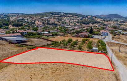 C21 LOCA'DAN 1976 M2 FIRSAT ARSA