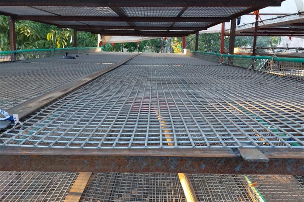 C21 LOFT'tan Pasif Gelir Sağlayan Ceviz Bahçesi Baklan/Gürlük'te