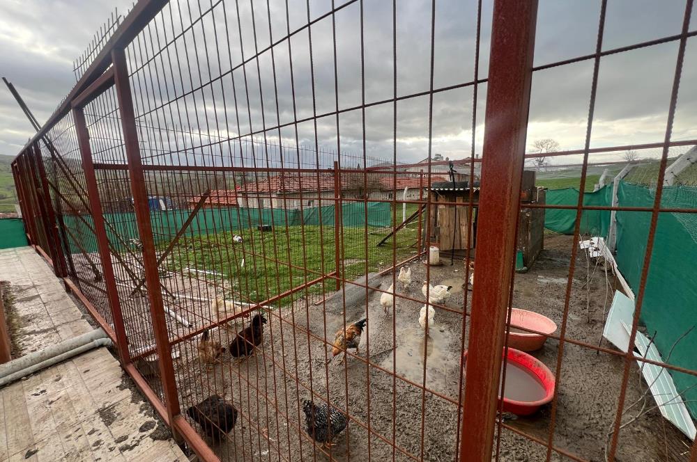 C21 BAL'DAN OVACIK MAH. 1152M2 ARAZİ İÇİNDE 2 KATLI AHŞAP EV