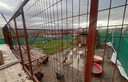 C21 BAL'DAN OVACIK MAH. 1152M2 ARAZİ İÇİNDE 2 KATLI AHŞAP EV