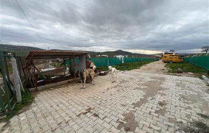 C21 BAL'DAN OVACIK MAH. 1152M2 ARAZİ İÇİNDE 2 KATLI AHŞAP EV