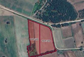 ÇANAKKALE BİGA PEKMEZLİ KÖYÜ MEZARLIK CİVARI SATILIK TARLA - 7 - 31875