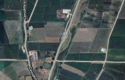 ÇANAKKALE BİGA ÇAVUŞKÖY İKİYOL ARASI MEVKİNDE SATILIK TARLA