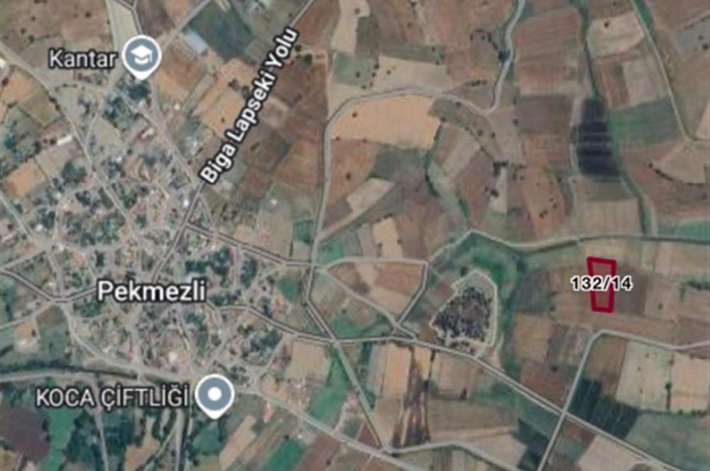 ÇANAKKALE BİGA PEKMEZLİ ÜÇ DİKME MEVKİNDE SATILIK TARLA